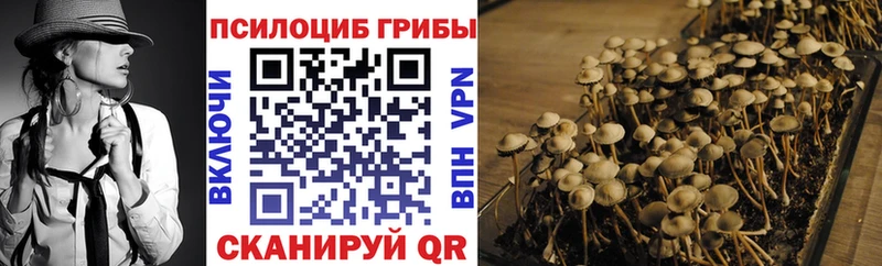 Псилоцибиновые грибы ЛСД  Магас 